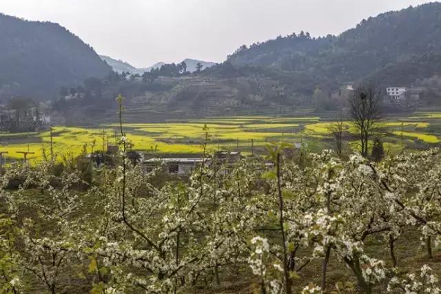 贵阳哪里适合情侣旅游，去贵阳郊外寻一处民俗村