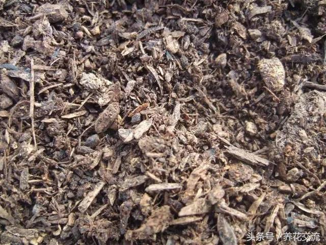 植物的三种肥料，农家随处可见的废料
