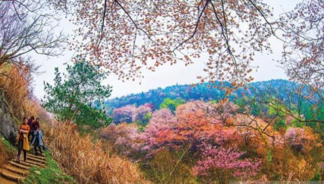 游红色革命圣地，延安主题游，革命圣地路线