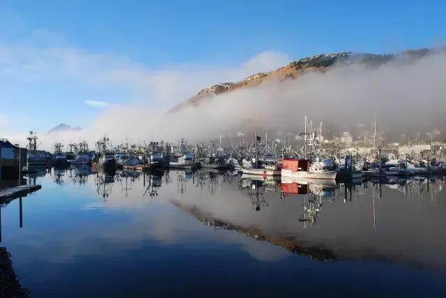 加拿大特产海参品种，秋冬美食——海参的三两小事