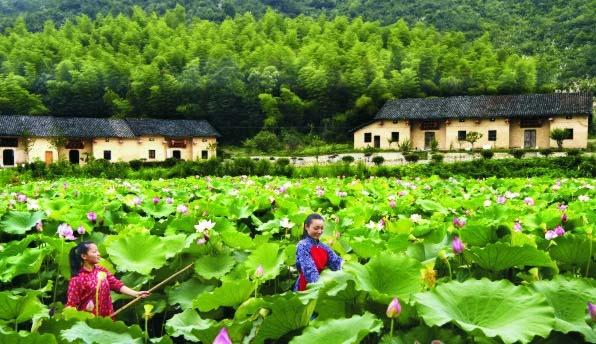 游红色革命圣地，延安主题游，革命圣地路线