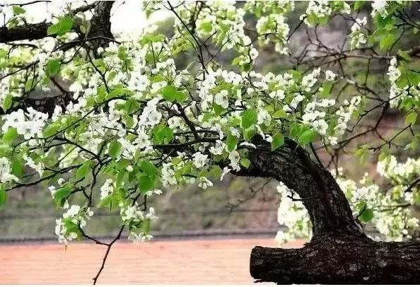 贵阳哪里适合情侣旅游，去贵阳郊外寻一处民俗村