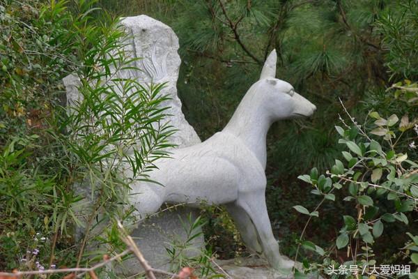 湄洲岛妈祖文化介绍，中华妈祖文化信仰对台、两岸及区域发展影响