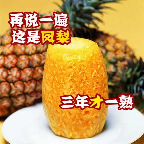 水果菠萝的种类，不同品种之间的菠萝区分