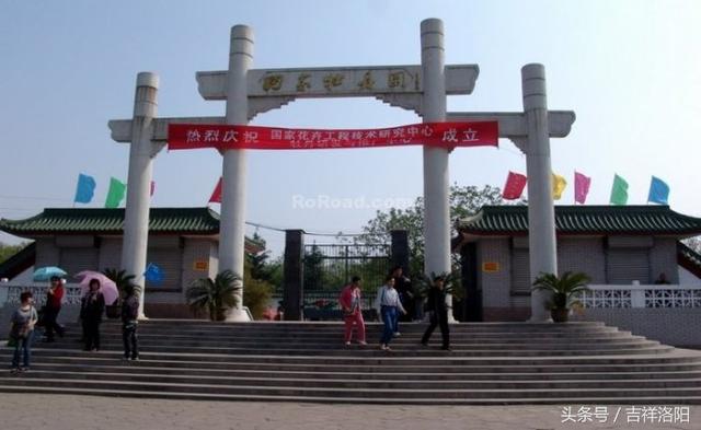 洛阳最值得一看的牡丹园，史上最全的洛阳牡丹观赏园