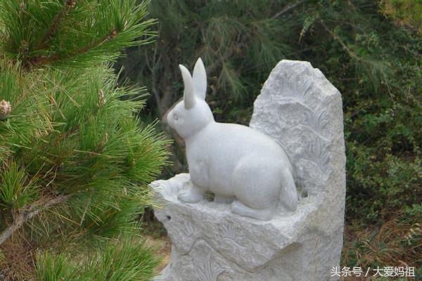 湄洲岛妈祖文化介绍，中华妈祖文化信仰对台、两岸及区域发展影响