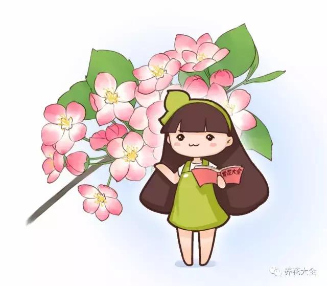 假花适合放哪里，假花和真花摆放位置（客厅仿真植物的摆放与风水格局的事）