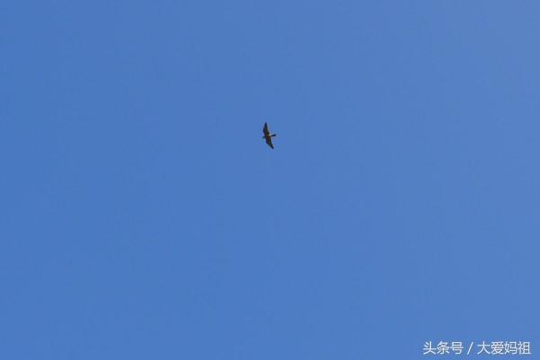 湄洲岛妈祖文化介绍，中华妈祖文化信仰对台、两岸及区域发展影响