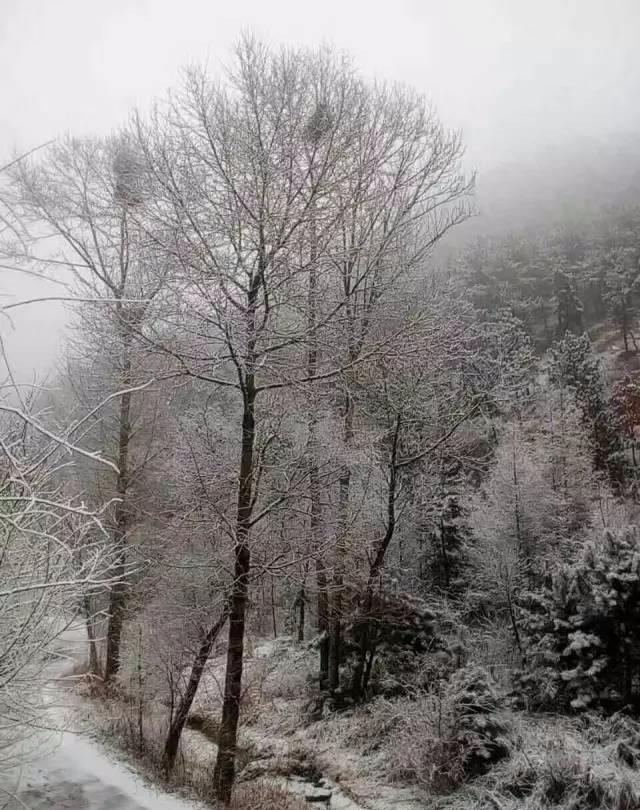 范伟的搞笑电影大全，范式幽默搞笑路线征服了亿万观众