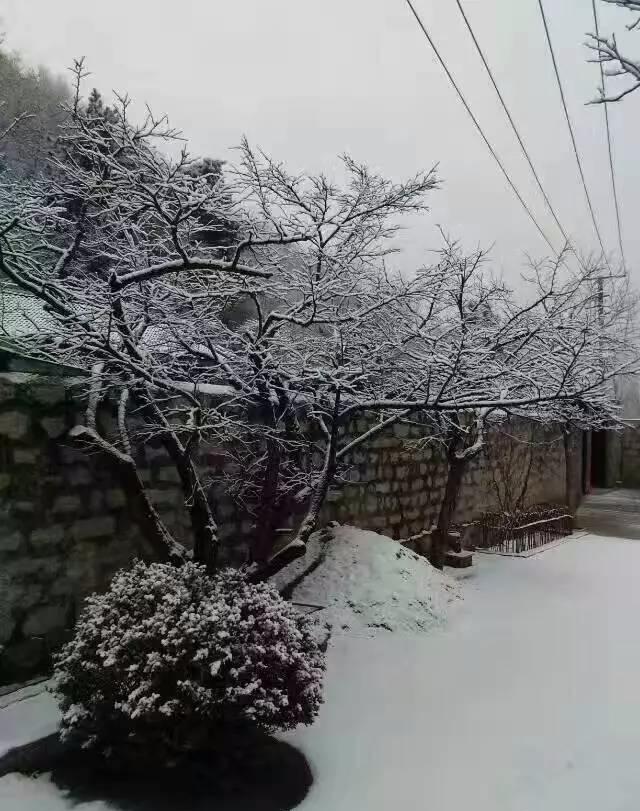 范伟的搞笑电影大全，范式幽默搞笑路线征服了亿万观众