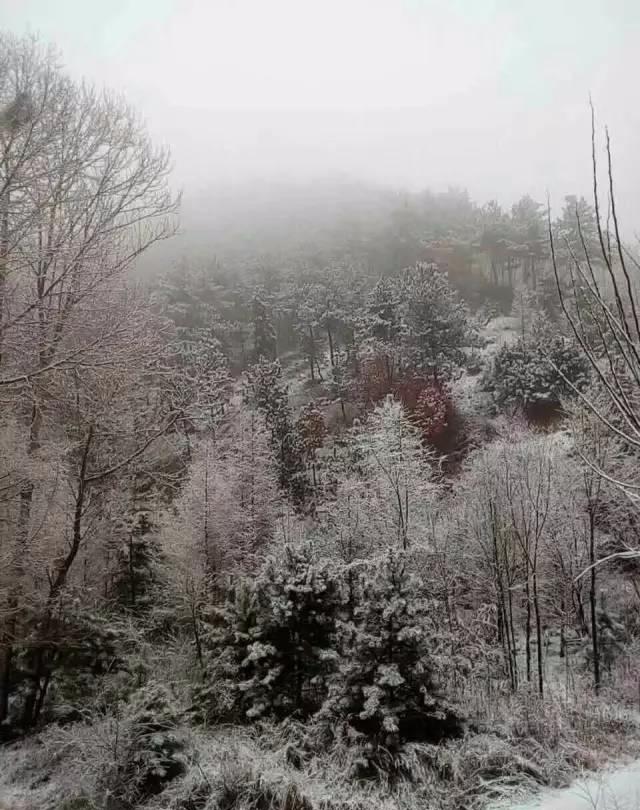 范伟的搞笑电影大全，范式幽默搞笑路线征服了亿万观众