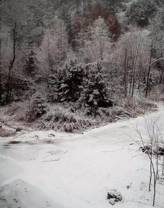 范伟的搞笑电影大全，范式幽默搞笑路线征服了亿万观众