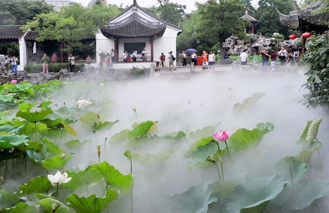 上海这些难读的地名，上海的地名怎么来的