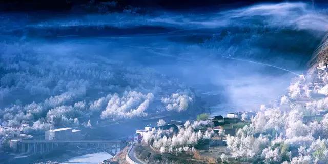 这里的花朵，这里的花都开成