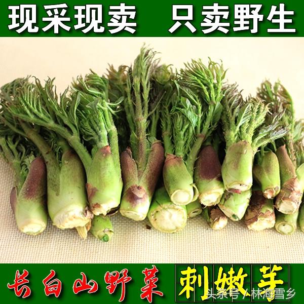 十大最好吃山野菜，长白山山野菜你那有吗