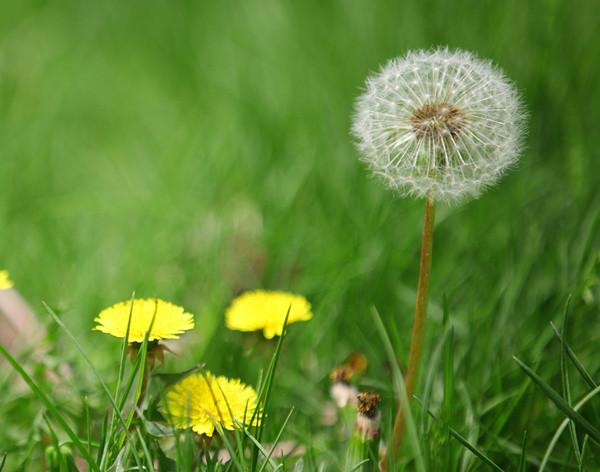 治龟感冒最简单的办法，哥的龟病了哥用妙招