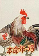 十二生肖犯太岁，十二生肖犯太岁列表（十二生肖太岁的真正含义是什么）