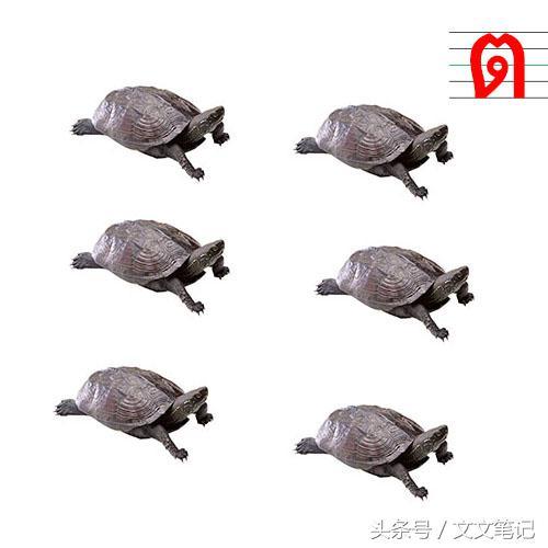 泰语辅音表图，有趣的记忆方法学习泰语中辅音