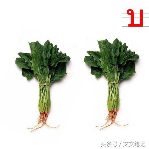 泰语辅音表图，有趣的记忆方法学习泰语中辅音