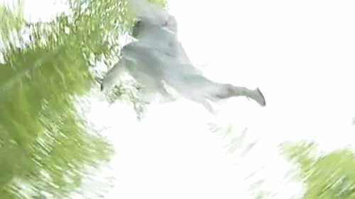 如何评价王艳饰演的白飞飞，飞来飞去的凝香公主