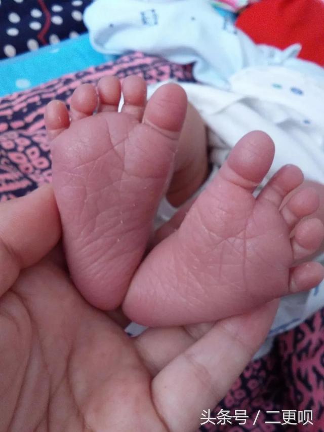 如何知道自己怀了孕，备孕期间怎么知道自己是否怀孕（备孕妈妈看过来）