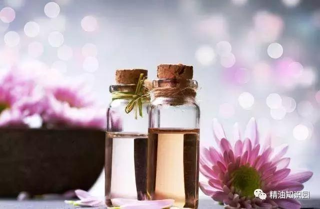 永久花精油的功效，花类精油的功效与作用（感人肺腑的永久花精油传说）