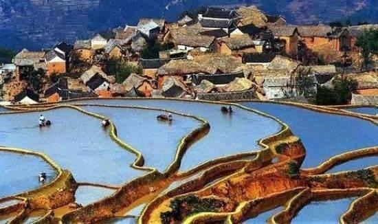 丽江什么族最多，丽江是纳西族和什么族聚居地区（云南丽江火车站“语言教师”提供多式服务）