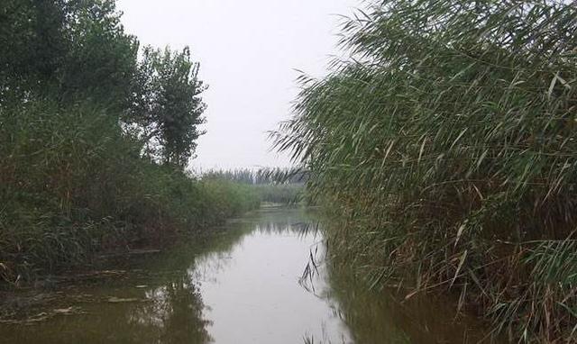 河北廊坊旅游景点大全排名，廊坊最美景区推荐