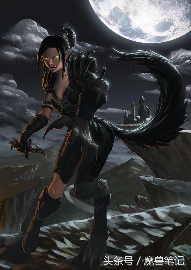 魔兽世界新手盗贼种族选择，TBC版本盗贼确实是弟弟