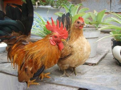 大理的美食和特产，云南省大理市美食介绍