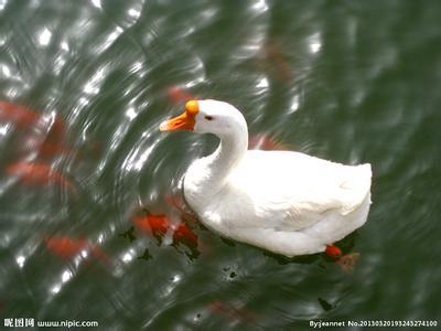 大理的美食和特产，云南省大理市美食介绍