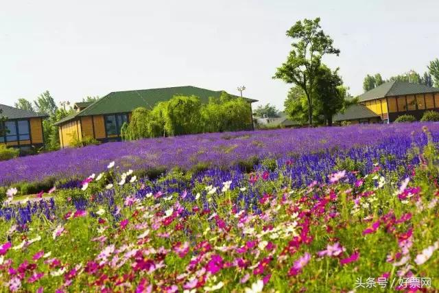 洛阳旅游详细攻略一日游，在洛阳旅游必须知道的100个小常识