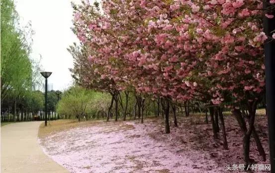 洛阳旅游详细攻略一日游，在洛阳旅游必须知道的100个小常识