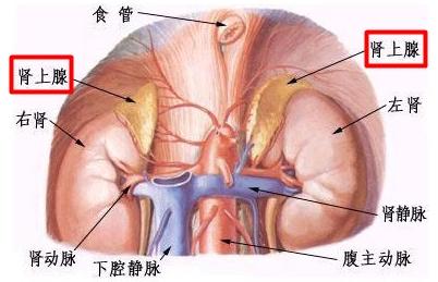 心理暗示有多可怕，自我心理暗示有多可怕