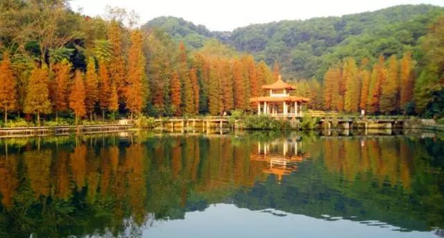 深圳旅游必去十大景点，深圳旅游必去的十大景点（这十个经典不能错过的地方）