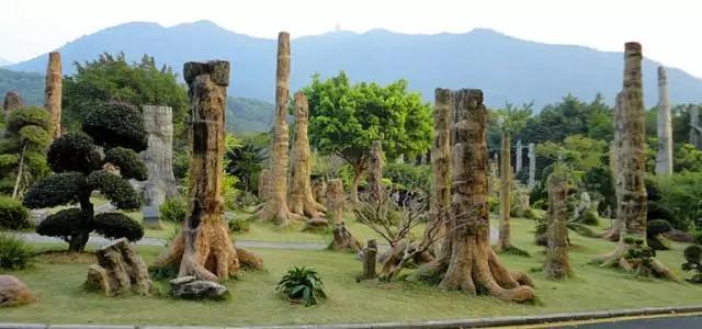 深圳旅游必去十大景点，深圳旅游必去的十大景点（这十个经典不能错过的地方）