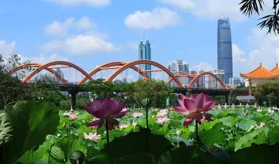 深圳旅游必去十大景点，深圳旅游必去的十大景点（这十个经典不能错过的地方）