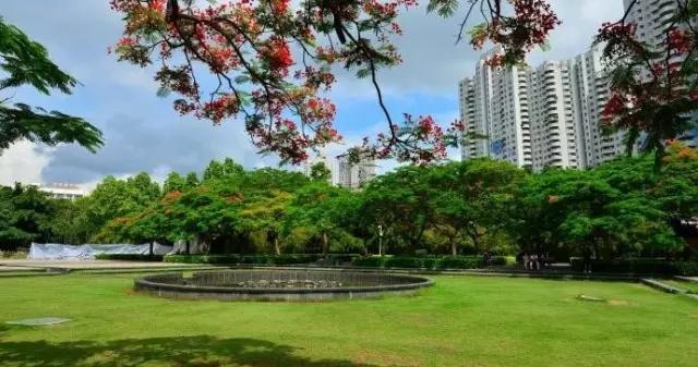 深圳旅游必去十大景点，深圳旅游必去的十大景点（这十个经典不能错过的地方）