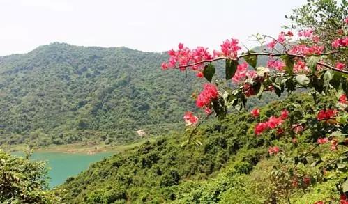 深圳旅游必去十大景点，深圳旅游必去的十大景点（这十个经典不能错过的地方）