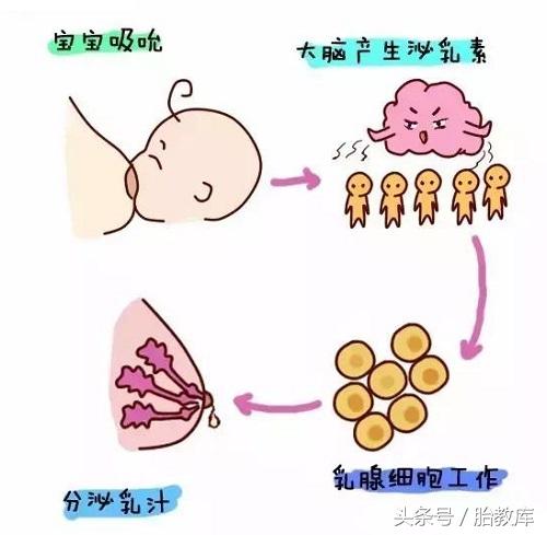 母乳是不是妈妈的血，母乳是血液造成的吗（母乳=血吗）