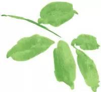 希望杯英语演讲比赛，中小学生全国性竞赛只有这29项