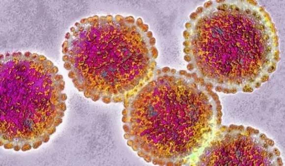 最容易隐藏的病毒，世界致命病毒大盘点