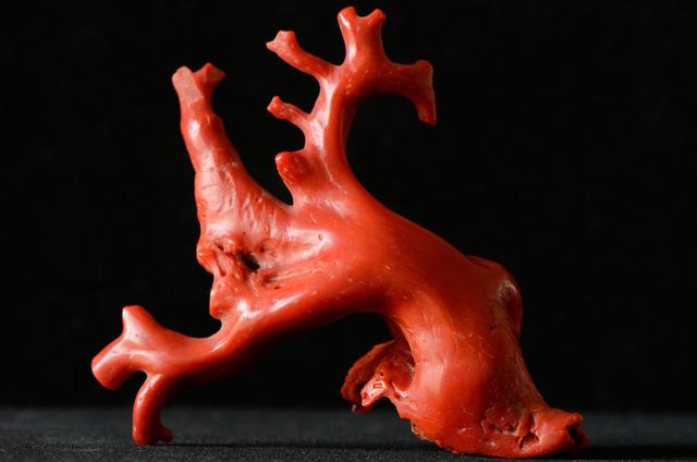 三眼花翎什么意思，清朝三眼花翎相当于什么官