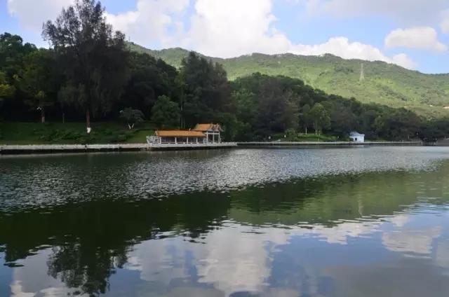 深圳旅游必去十大景点，深圳旅游必去的十大景点（这十个经典不能错过的地方）
