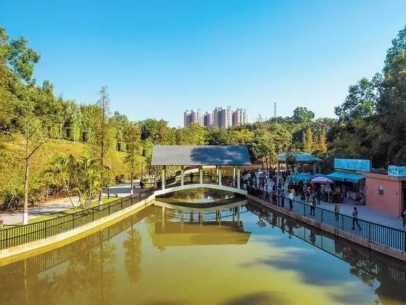 深圳旅游必去十大景点，深圳旅游必去的十大景点（这十个经典不能错过的地方）