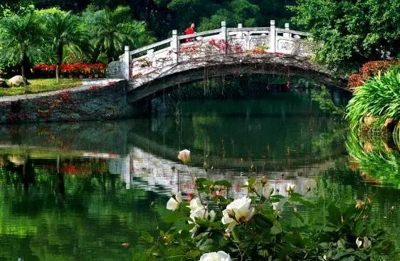 深圳旅游必去十大景点，深圳旅游必去的十大景点（这十个经典不能错过的地方）