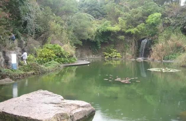 深圳旅游必去十大景点，深圳旅游必去的十大景点（这十个经典不能错过的地方）