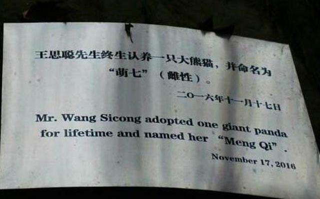 王思聪唯一不敢惹的女明星，王思聪夸网红好美啊