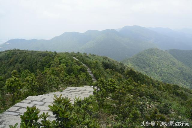 深圳凤凰山爬山指南，那深圳周边的这座海拔800