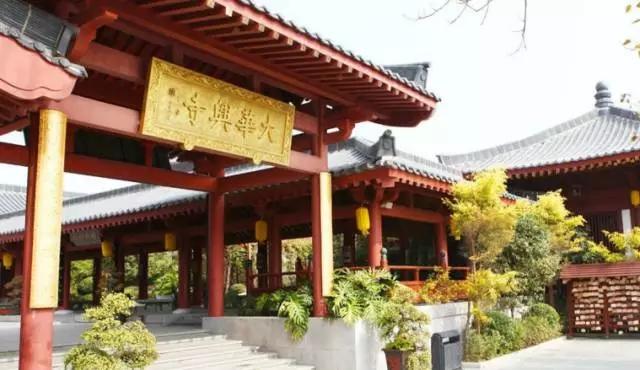 深圳旅游必去十大景点，深圳旅游必去的十大景点（这十个经典不能错过的地方）